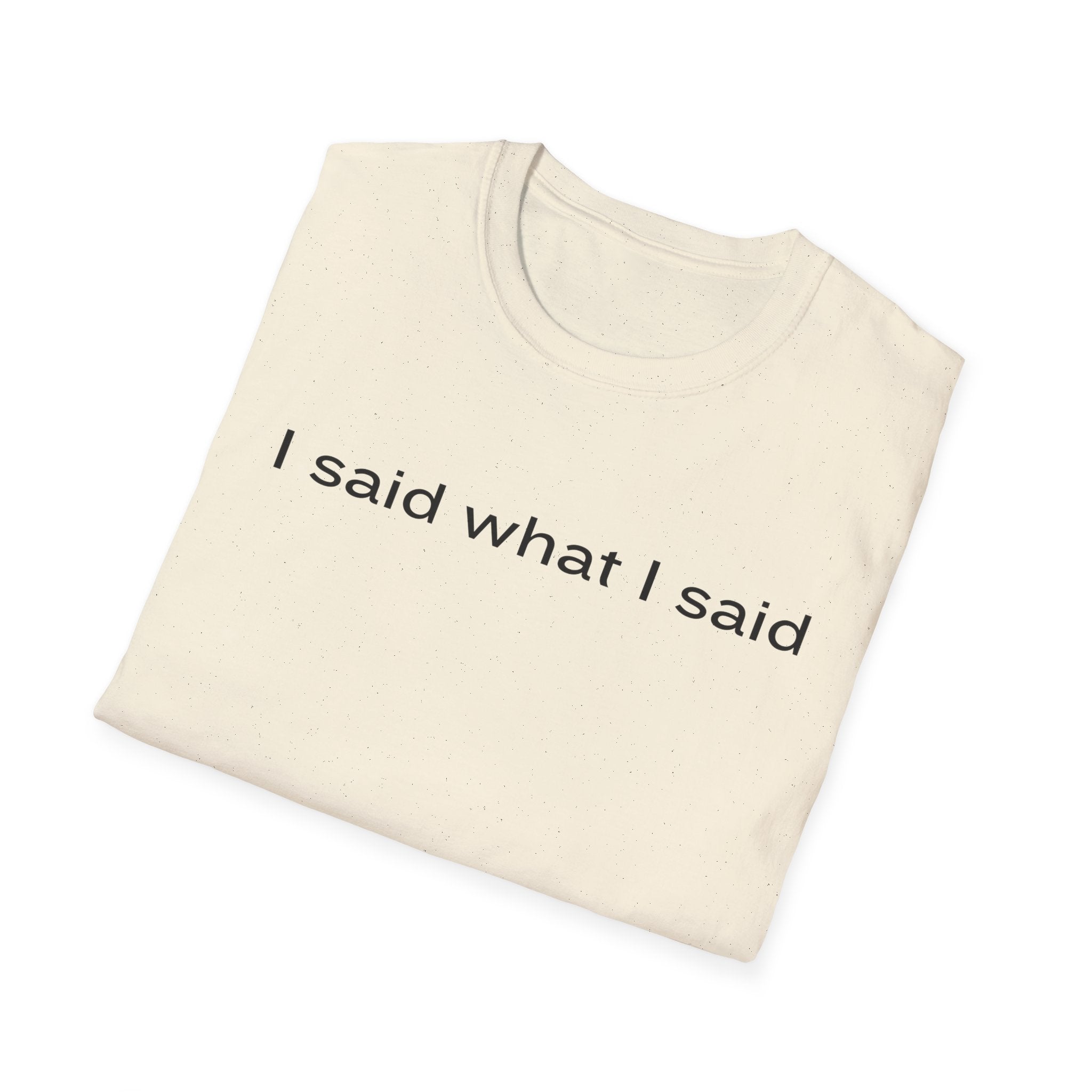 I Said What I Said T-Shirt — Minimalist Statement Shirt