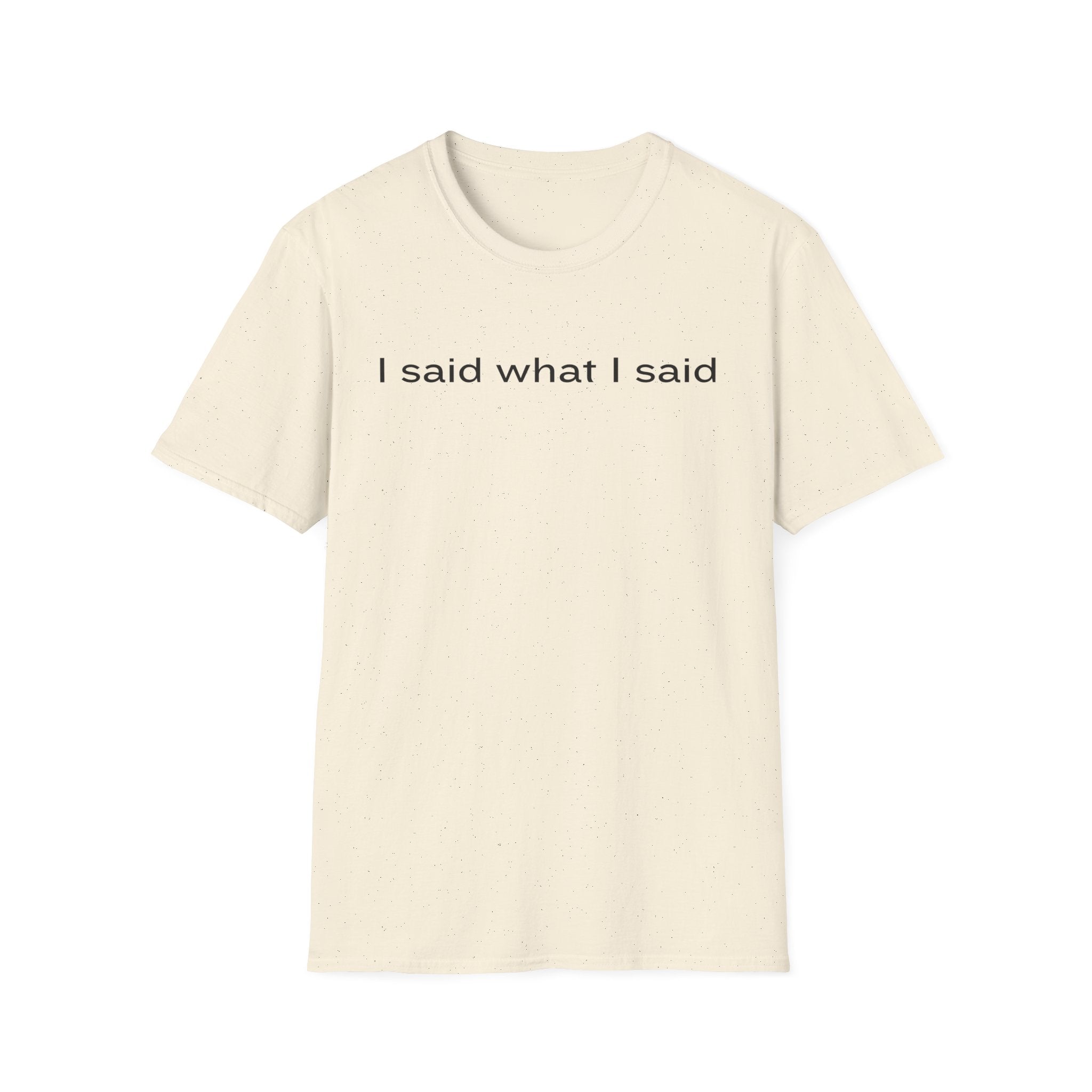 I Said What I Said T-Shirt — Minimalist Statement Shirt