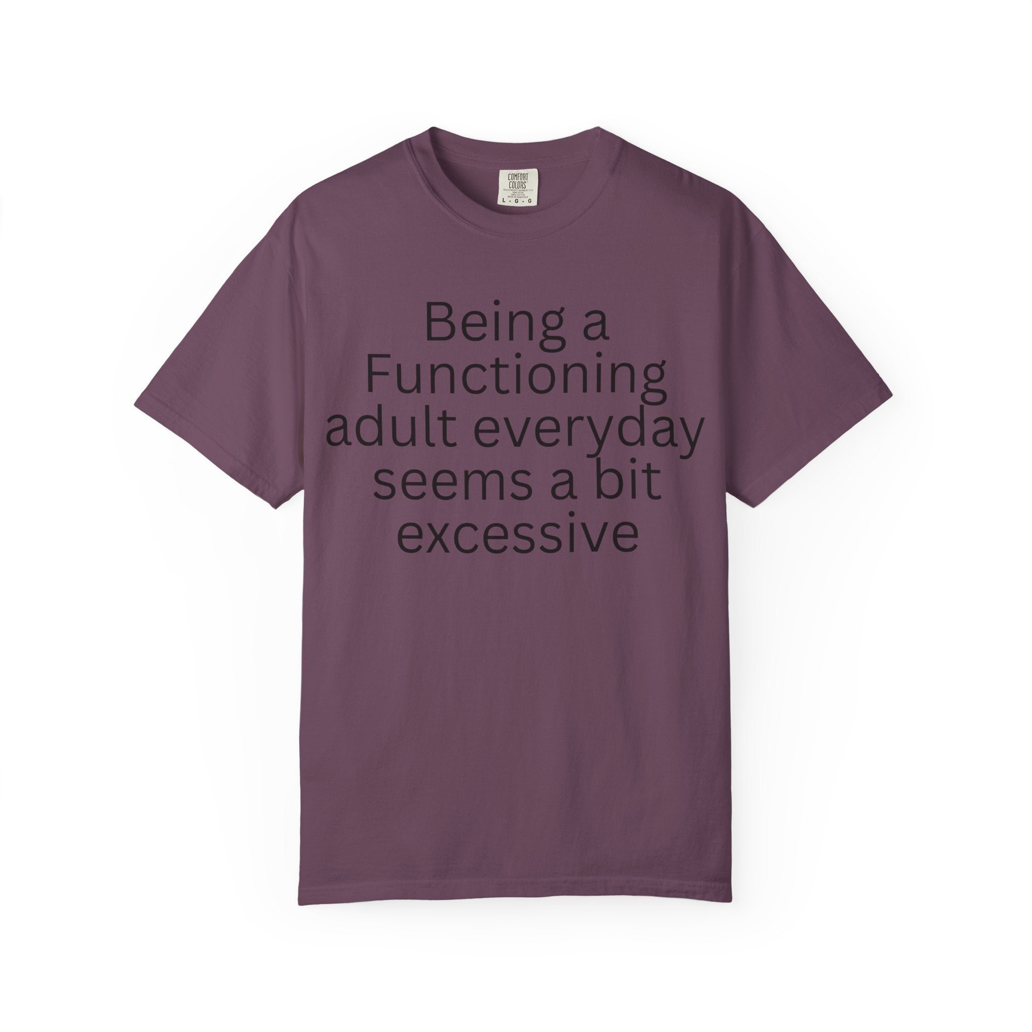 Being a Functioning Adult Everyday Seems a Bit Excessive T-Shirt