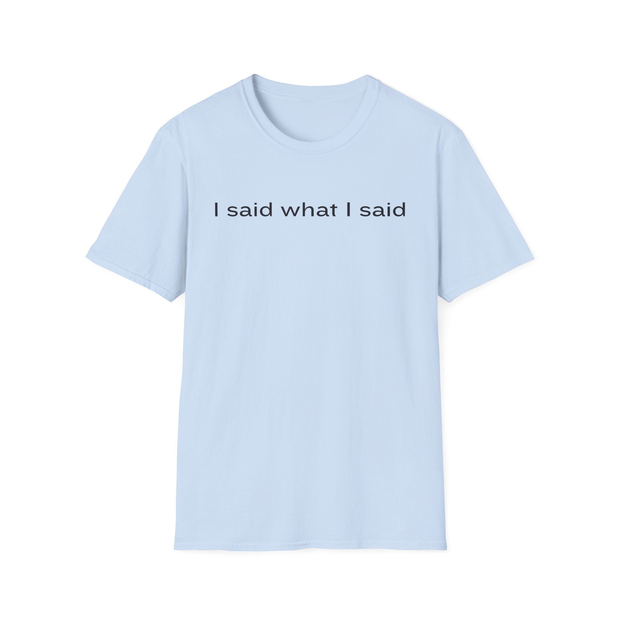 I Said What I Said T-Shirt — Minimalist Statement Shirt