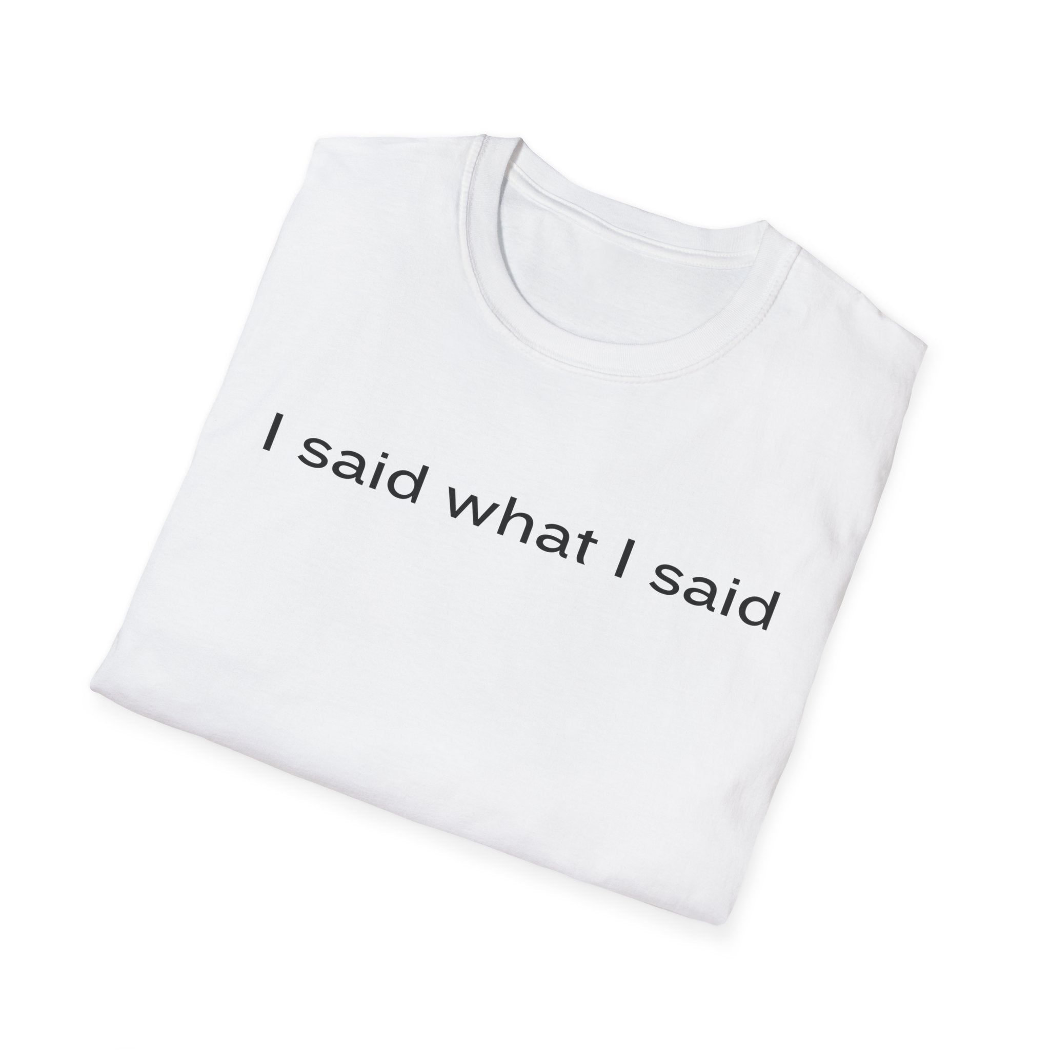 I Said What I Said T-Shirt — Minimalist Statement Shirt