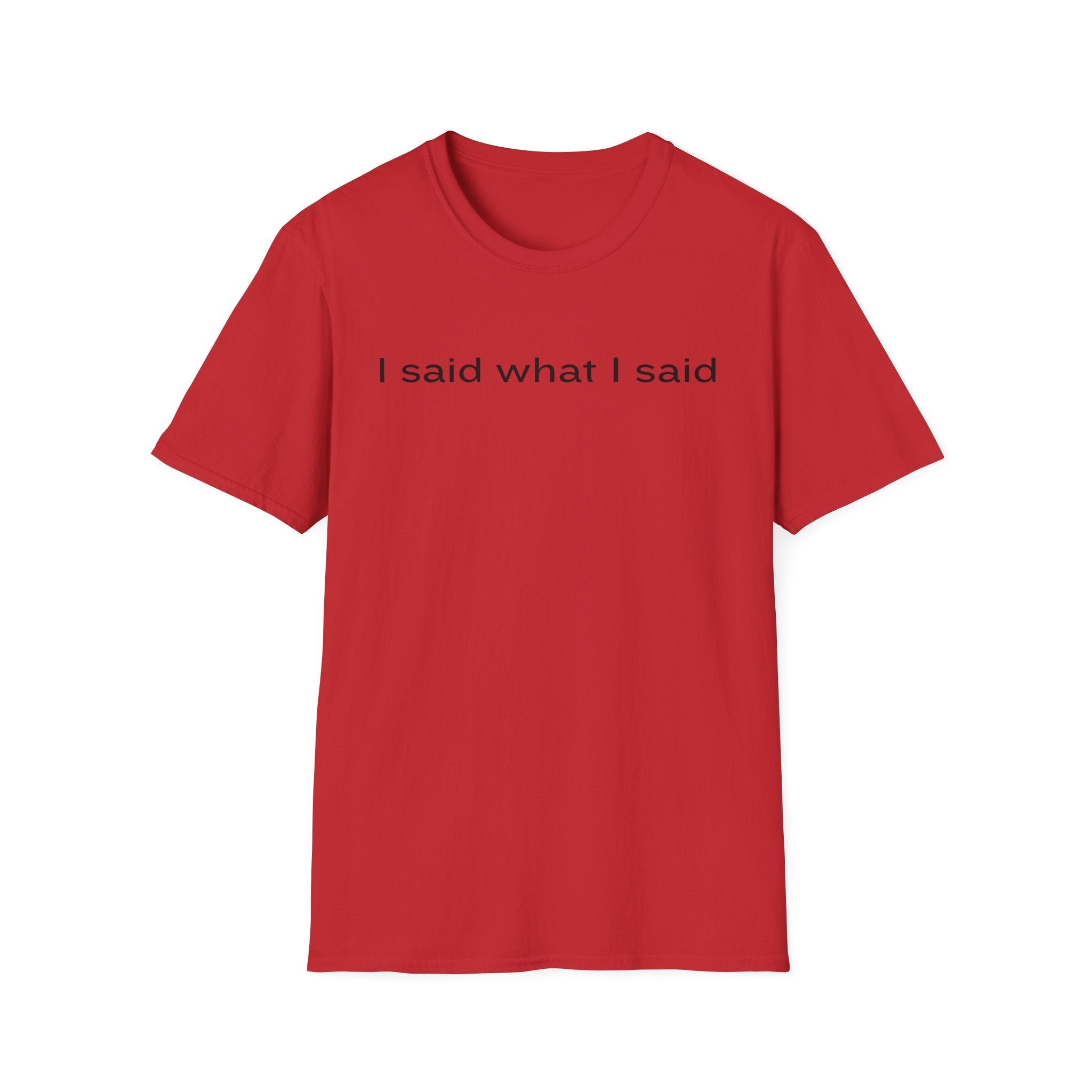 I Said What I Said T-Shirt — Minimalist Statement Shirt