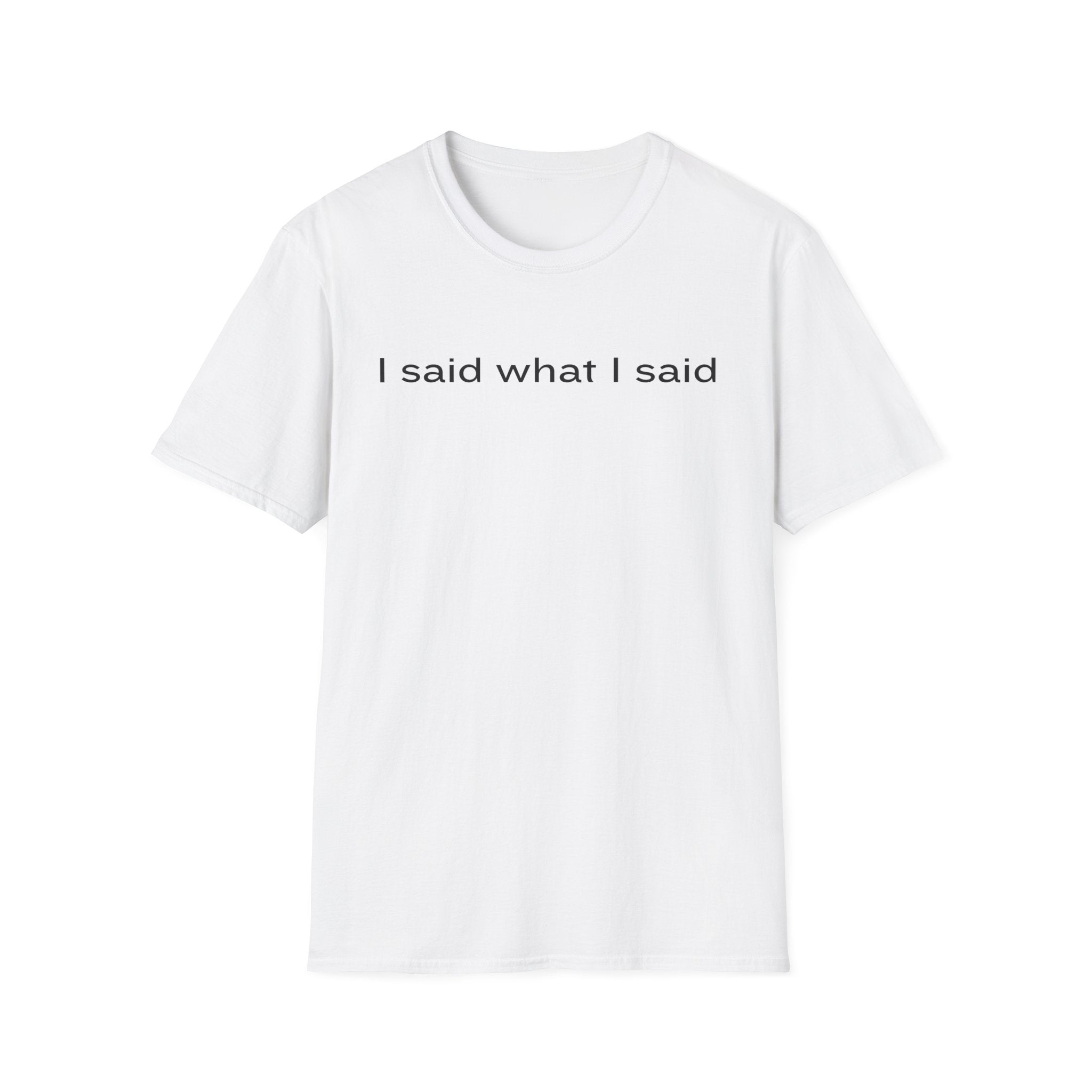 I Said What I Said T-Shirt — Minimalist Statement Shirt
