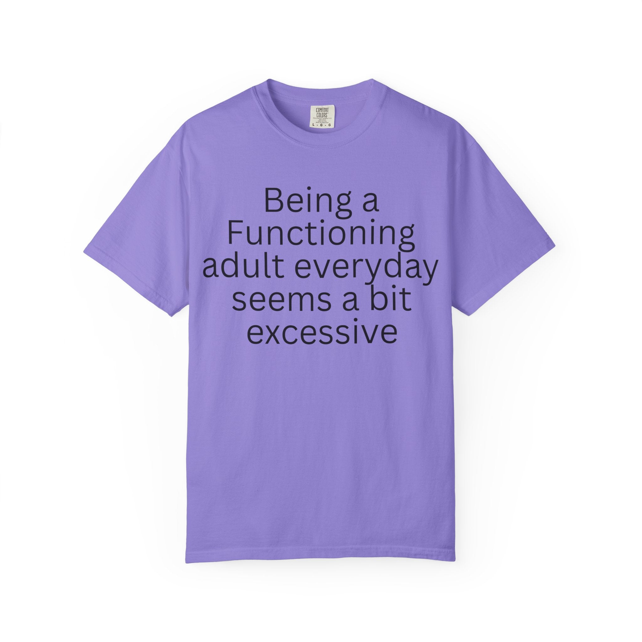 Being a Functioning Adult Everyday Seems a Bit Excessive T-Shirt