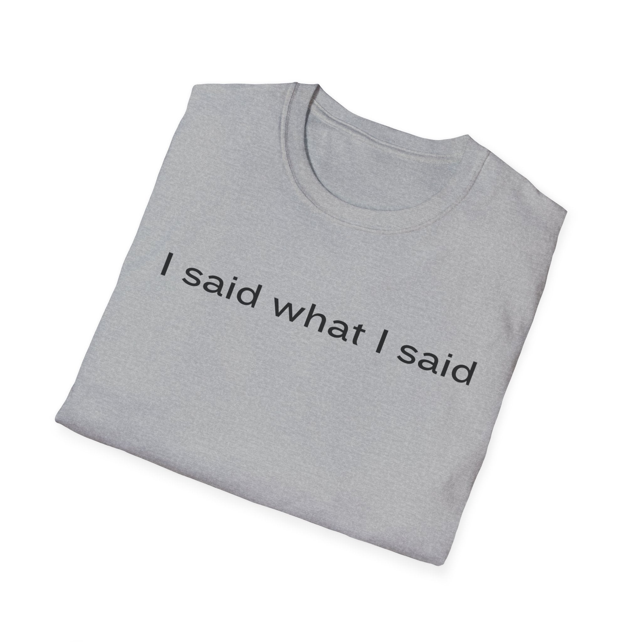 I Said What I Said T-Shirt — Minimalist Statement Shirt