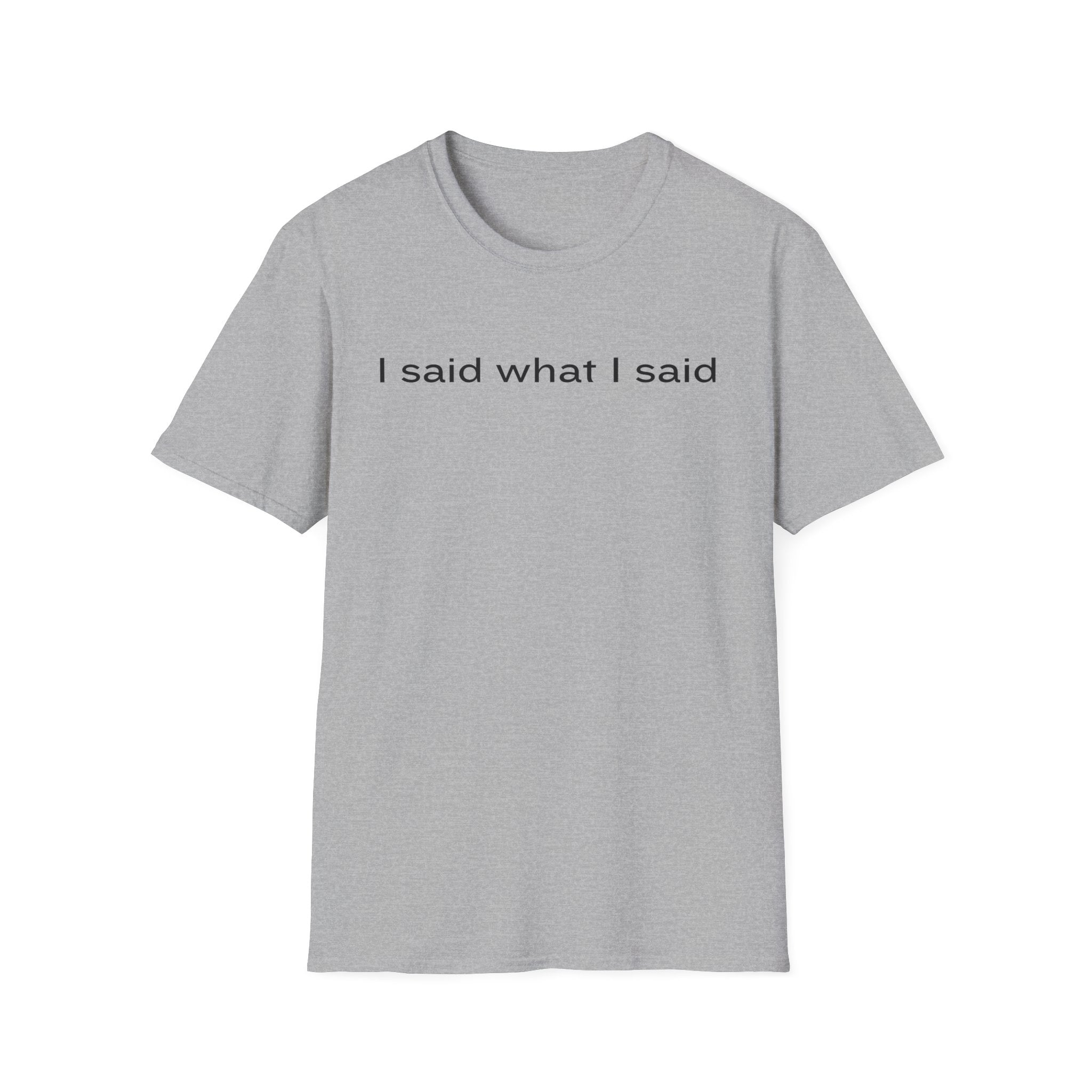 I Said What I Said T-Shirt — Minimalist Statement Shirt